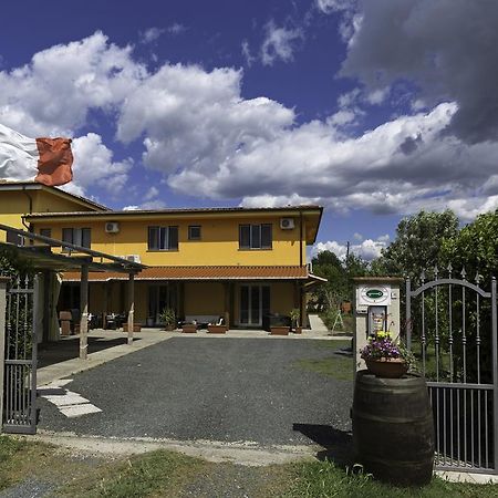 Albergo Luisss Grosseto Exterior foto